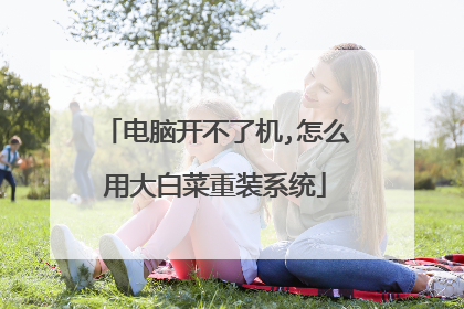 电脑开不了机,怎么用大白菜重装系统