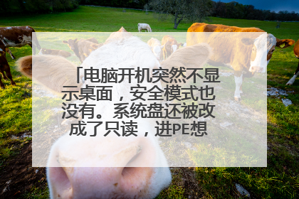 电脑开机突然不显示桌面，安全模式也没有。系统盘还被改成了只读，进PE想重装系统也不行？