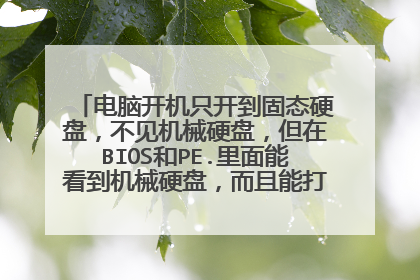 电脑开机只开到固态硬盘,不见机械硬盘,但在BIOS和PE.里面能看到机械硬盘,而且能打开,怎么回事?
