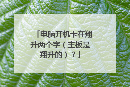 电脑开机卡在翔升两个字(主板是翔升的)?