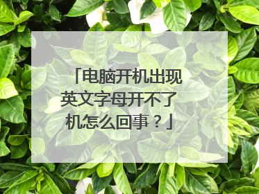 电脑开机出现英文字母开不了机怎么回事?