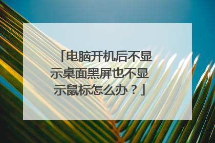 电脑开机后不显示桌面黑屏也不显示鼠标怎么办?