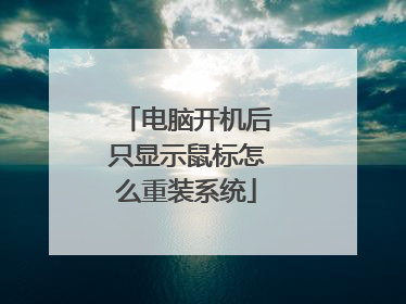 电脑开机后只显示鼠标怎么重装系统