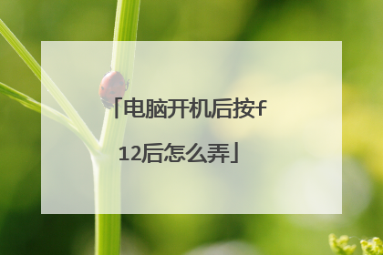 电脑开机后按f12后怎么弄