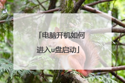 电脑开机如何进入u盘启动
