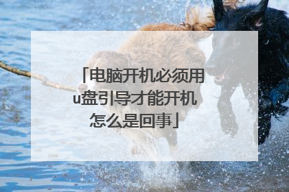 电脑开机必须用u盘引导才能开机怎么是回事
