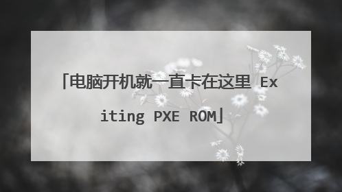 电脑开机就一直卡在这里 Exiting PXE ROM