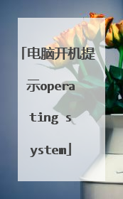 电脑开机提示operating system