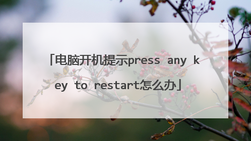 电脑开机提示press any key to restart怎么办