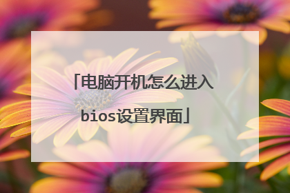 电脑开机怎么进入bios设置界面