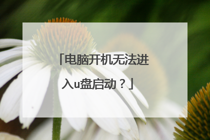 电脑开机无法进入u盘启动？