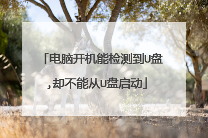 电脑开机能检测到U盘,却不能从U盘启动