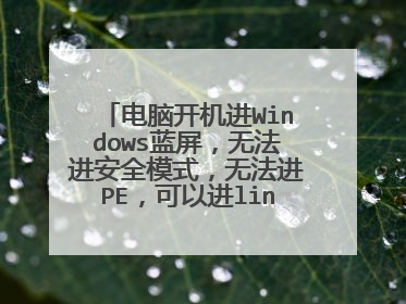 电脑开机进Windows蓝屏，无法进安全模式，无法进PE，可以进linux。怎么办？