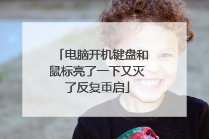 电脑开机键盘和鼠标亮了一下又灭了反复重启