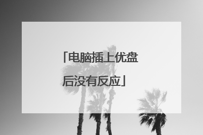 电脑插上优盘后没有反应
