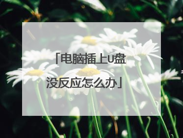 电脑插上U盘没反应怎么办