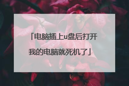 电脑插上u盘后打开我的电脑就死机了