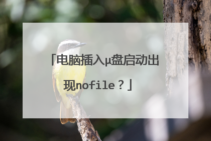 电脑插入μ盘启动出现nofile?