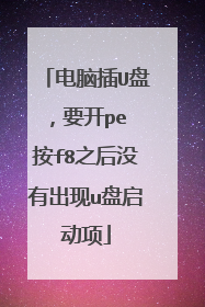 电脑插U盘，要开pe 按f8之后没有出现u盘启动项