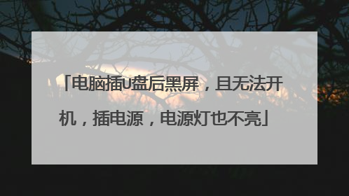 电脑插U盘后黑屏,且无法开机,插电源,电源灯也不亮
