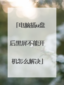 电脑插u盘后黑屏不能开机怎么解决