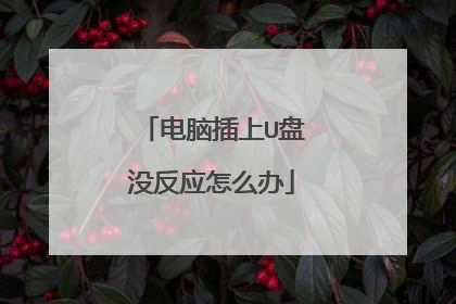 电脑插上U盘没反应怎么办