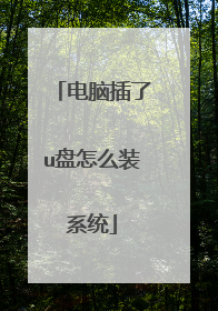 电脑插了u盘怎么装系统