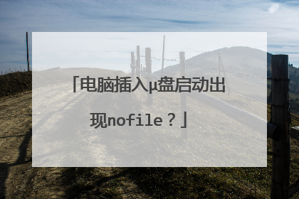 电脑插入μ盘启动出现nofile？