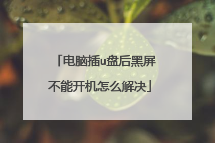 电脑插u盘后黑屏不能开机怎么解决