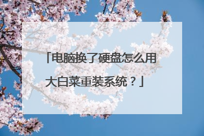 电脑换了硬盘怎么用大白菜重装系统?