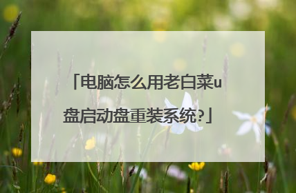 电脑怎么用老白菜u盘启动盘重装系统?