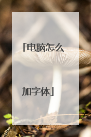 电脑怎么加字体