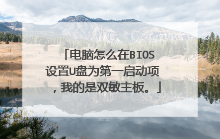 电脑怎么在BIOS设置U盘为第一启动项,我的是双敏主板。
