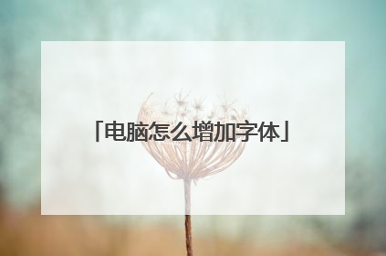 电脑怎么增加字体