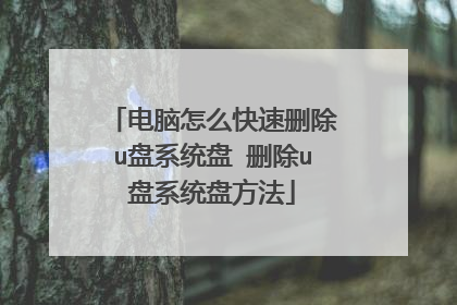 电脑怎么快速删除u盘系统盘 删除u盘系统盘方法