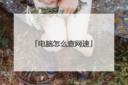 电脑怎么查网速