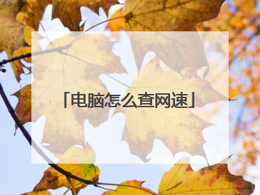 电脑怎么查网速