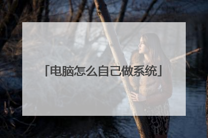 电脑怎么自己做系统