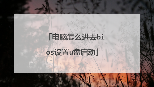 电脑怎么进去bios设置u盘启动