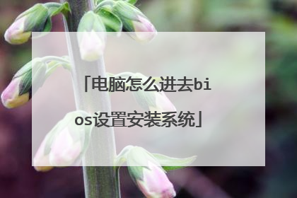 电脑怎么进去bios设置安装系统