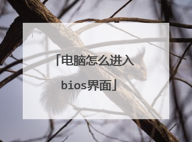 电脑怎么进入bios界面
