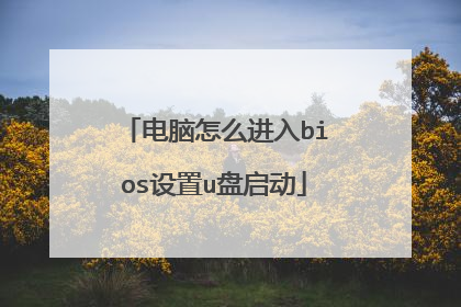 电脑怎么进入bios设置u盘启动