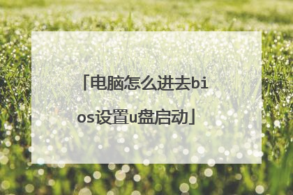 电脑怎么进去bios设置u盘启动