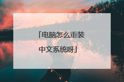 电脑怎么重装中文系统呀