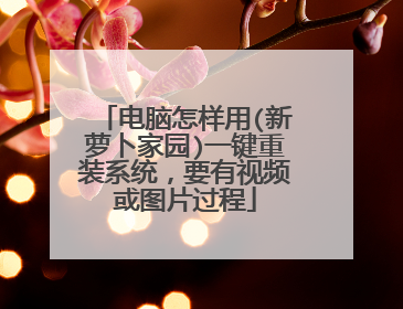 电脑怎样用(新萝卜家园)一键重装系统,要有视频或图片过程