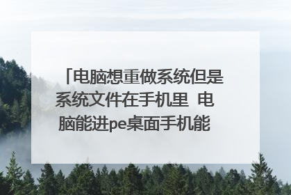 电脑想重做系统但是系统文件在手机里 电脑能进pe桌面手机能插电脑上传文件到u盘里面吗 oppo