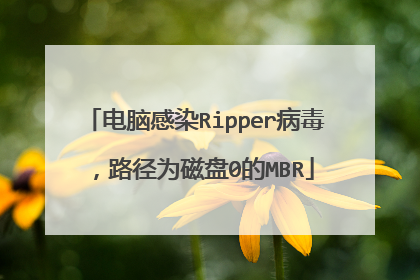 电脑感染Ripper病毒,路径为磁盘0的MBR