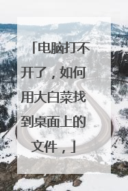 电脑打不开了，如何用大白菜找到桌面上的文件，