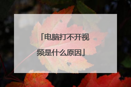 电脑打不开视频是什么原因