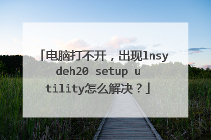电脑打不开，出现lnsydeh20 setup utility怎么解决？
